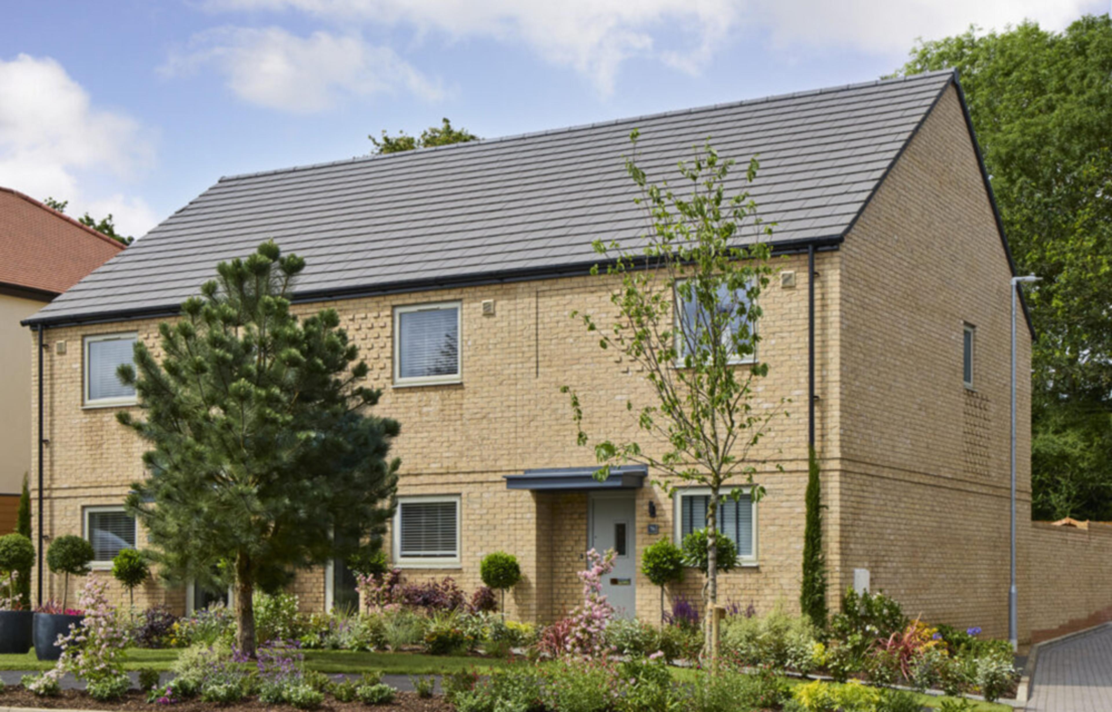 persona-homes-brookhill-street-scene