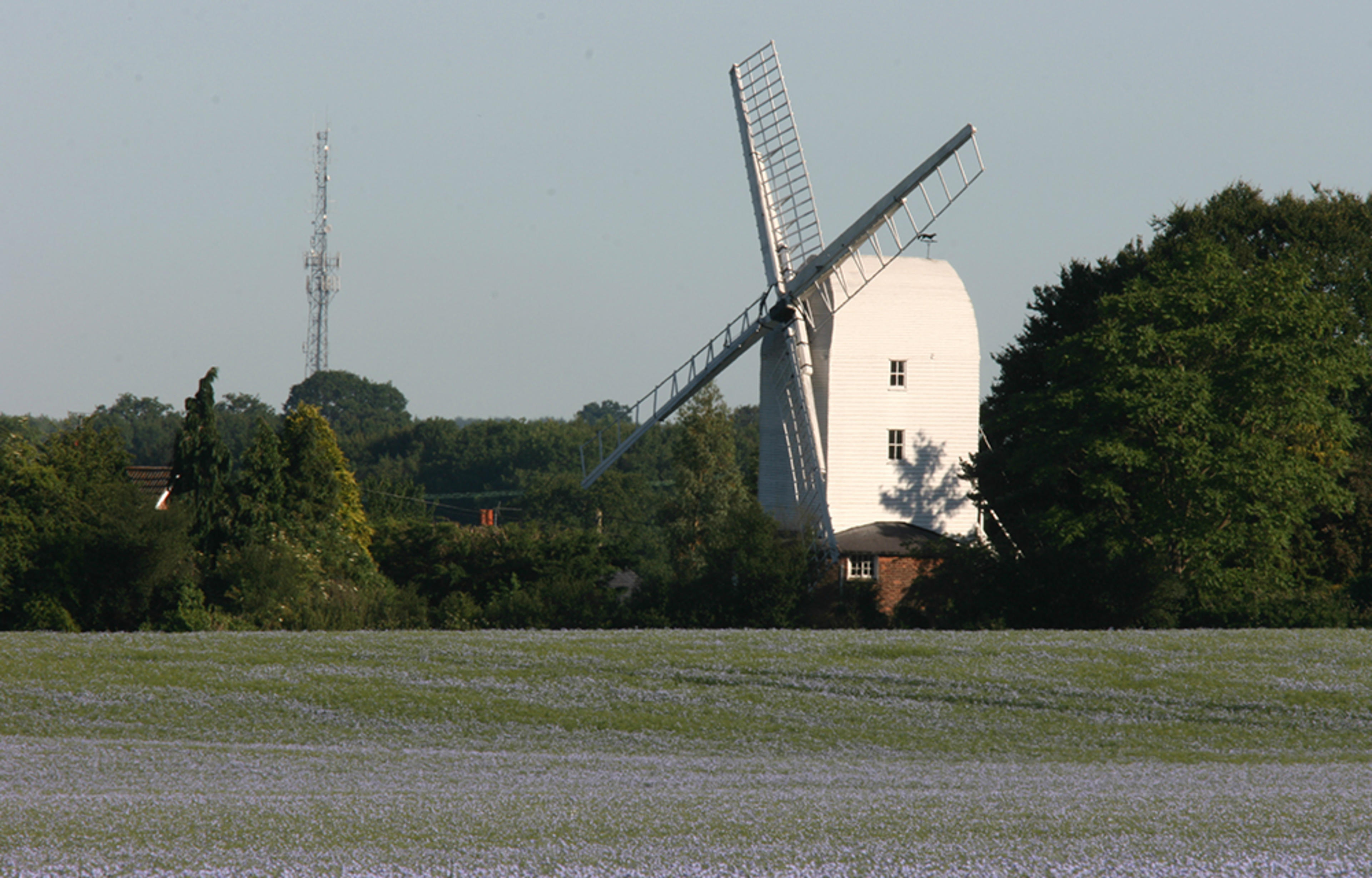 Millview Park - Bocking windmill