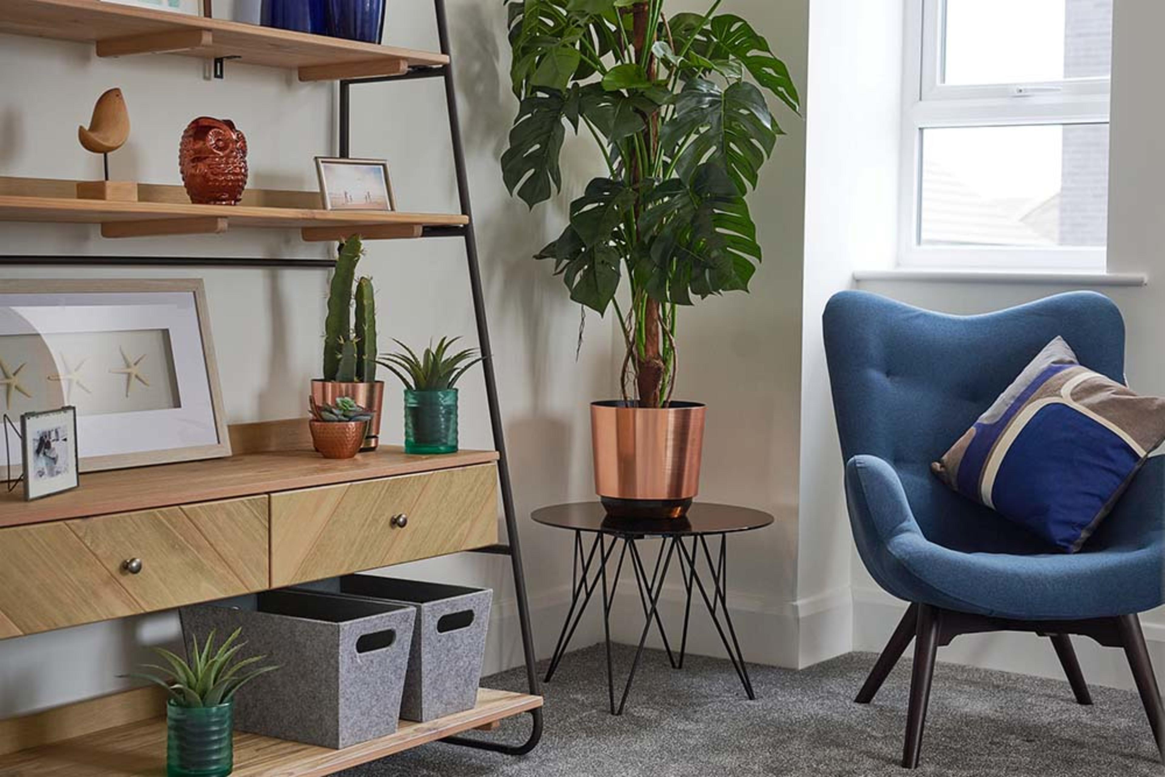 Living room with sloping bookcase, large pot plant and blue tub chair