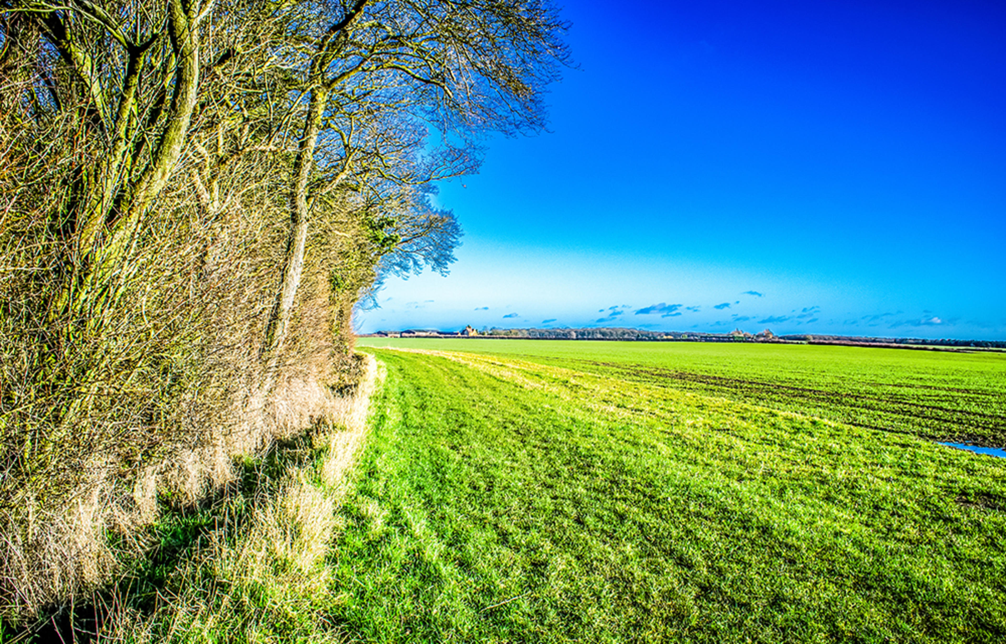 persona-homes-pembroke-chase-nature