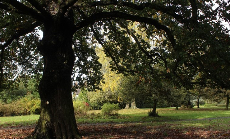 The Brycewood and Myeswod Collection - Brentwood park