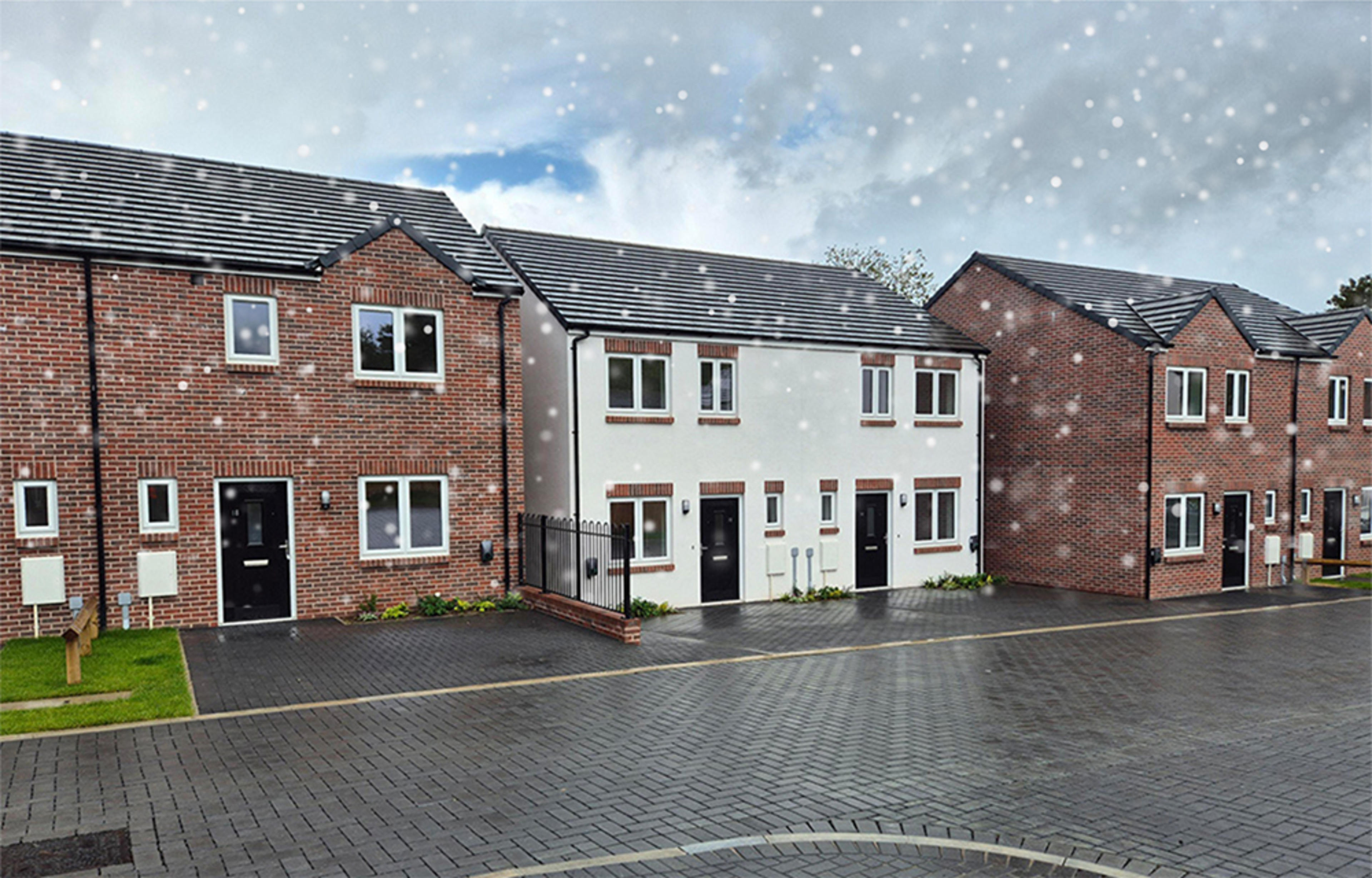 The Orchards - Robinson-snow