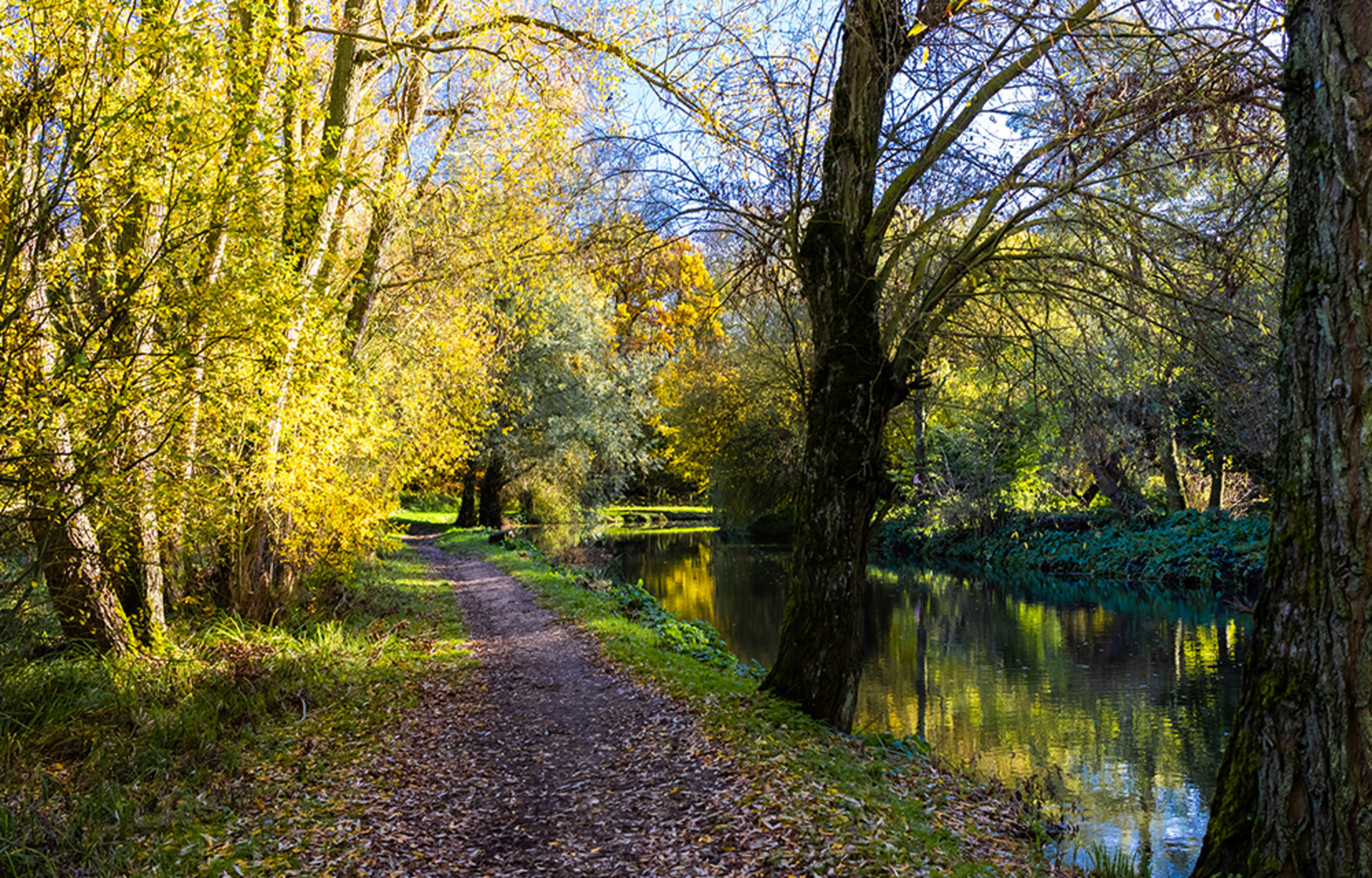 persona-homes-bishop-s-stortford-nature