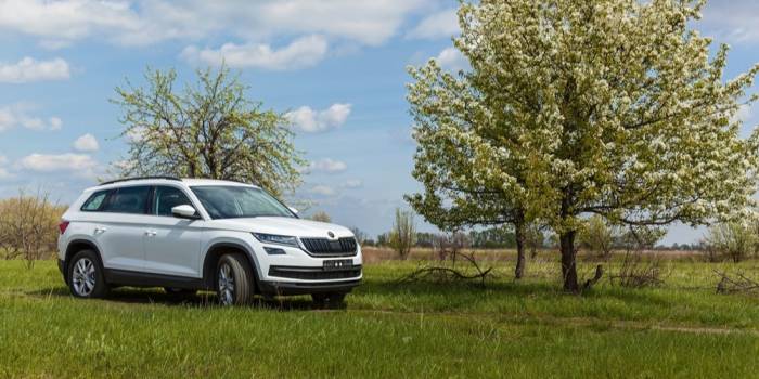 Skoda Kodiaq Gebrauchtwagen Online Bestellen Instamotion