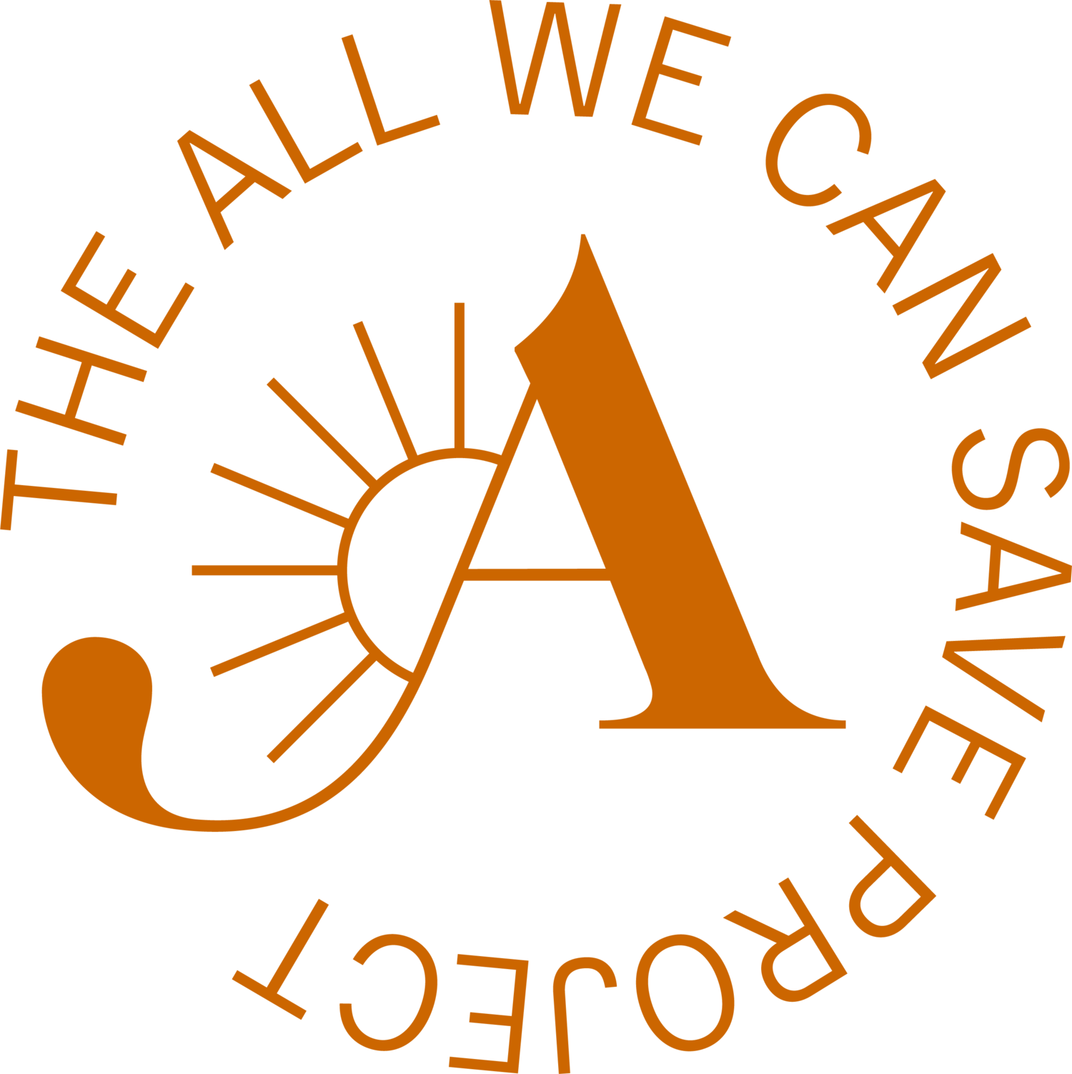 All We Can Save logo