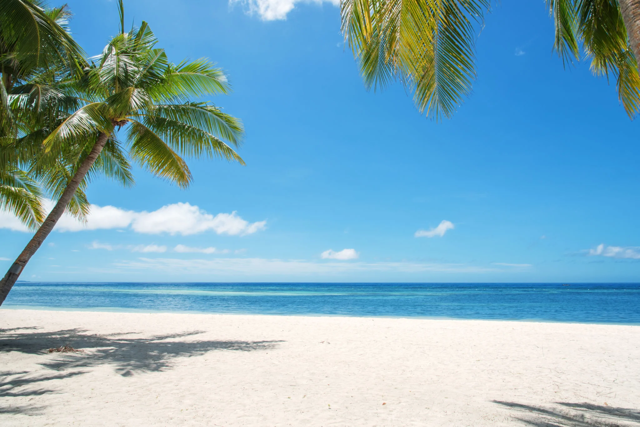 tropical island