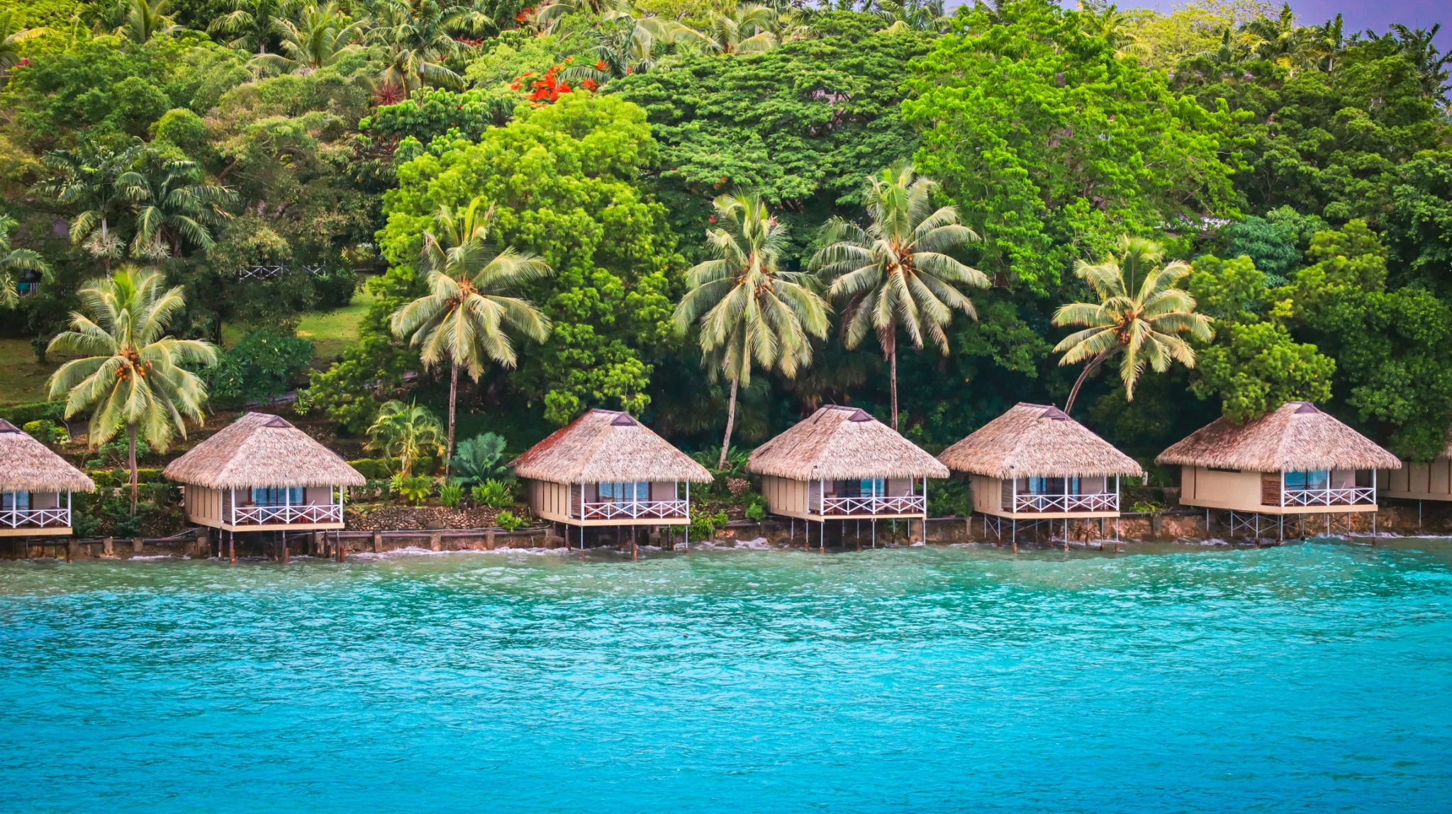 Vanuatu landscape