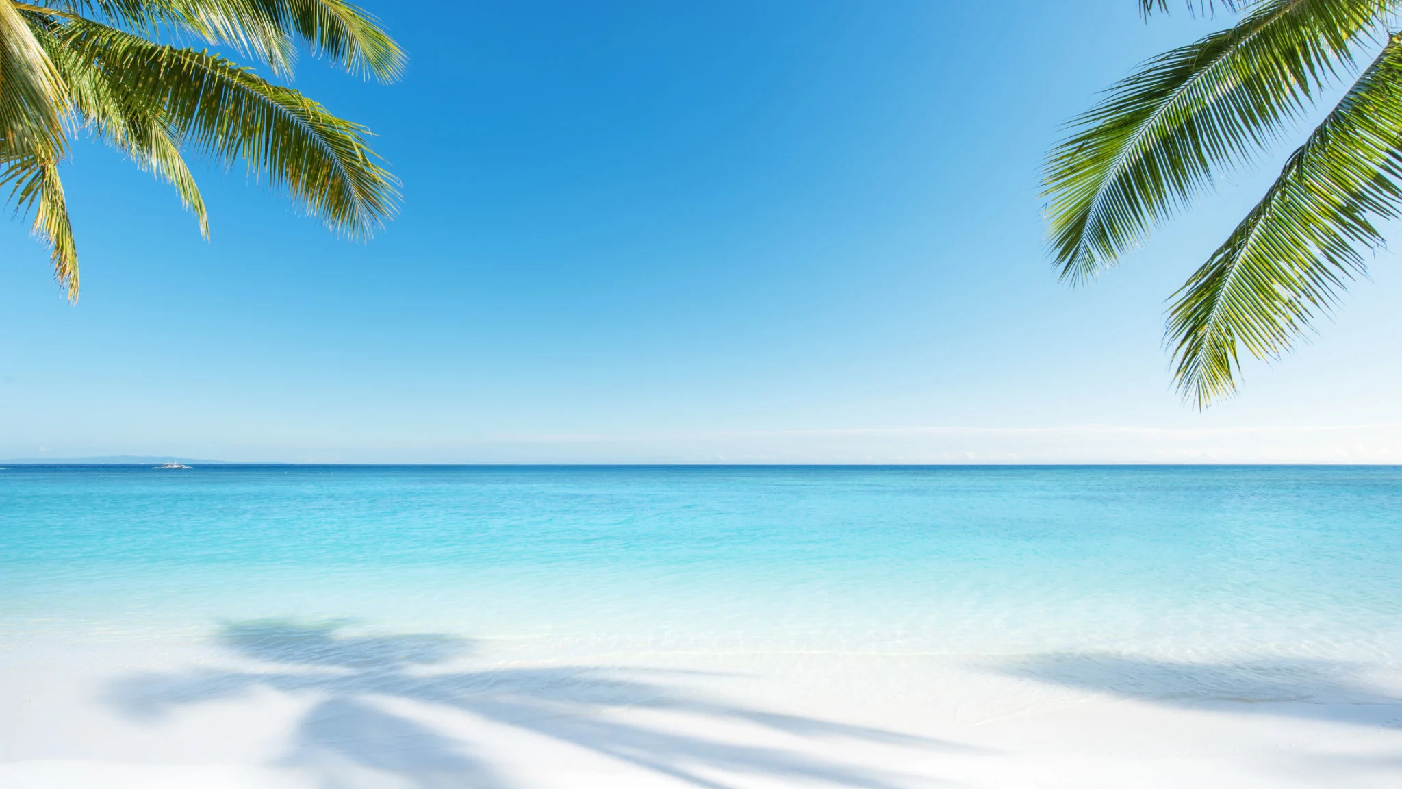 tropical beach