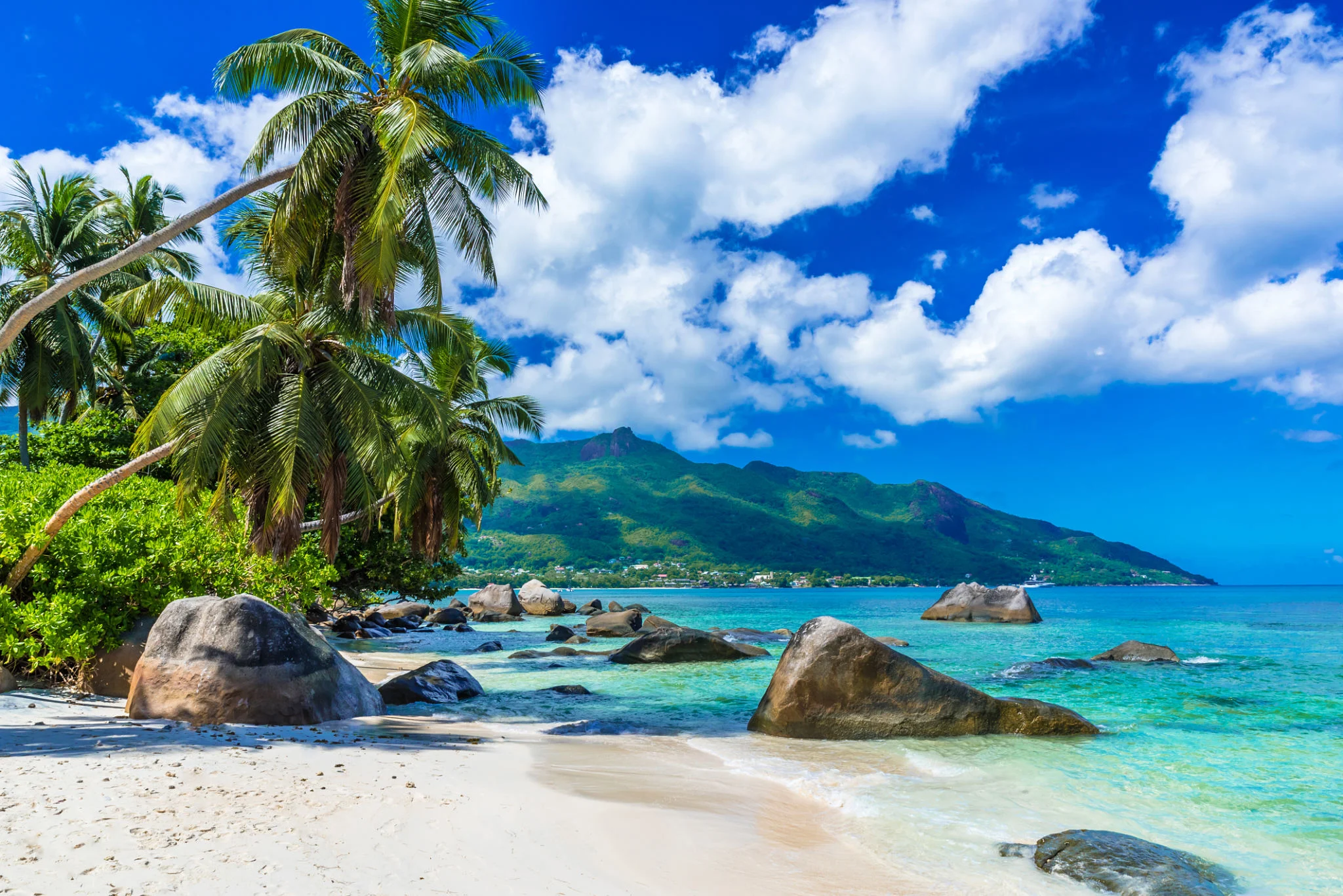 tropical island