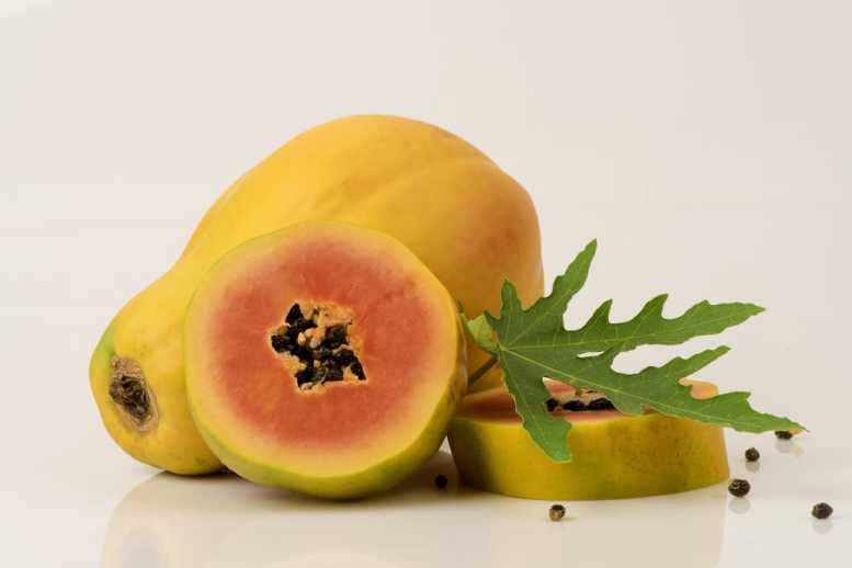 Caricol aus Papaya-Extrakt