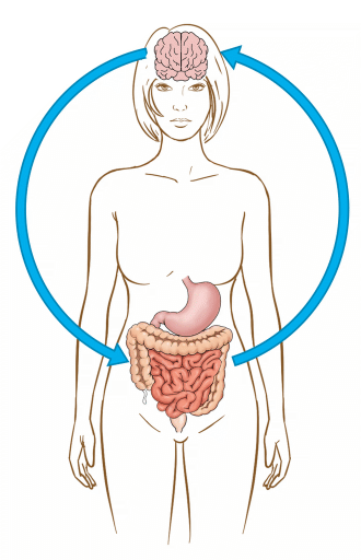 Microbiota-brain-gut-axis