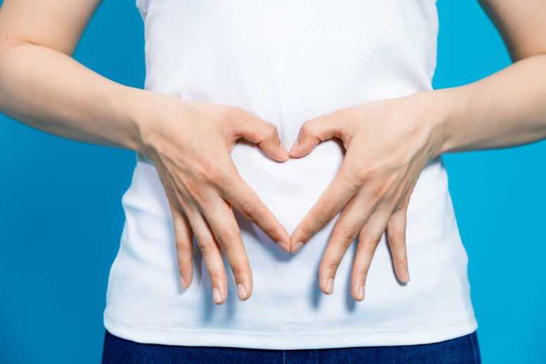 Supporting the intestinal flora with prebiotics