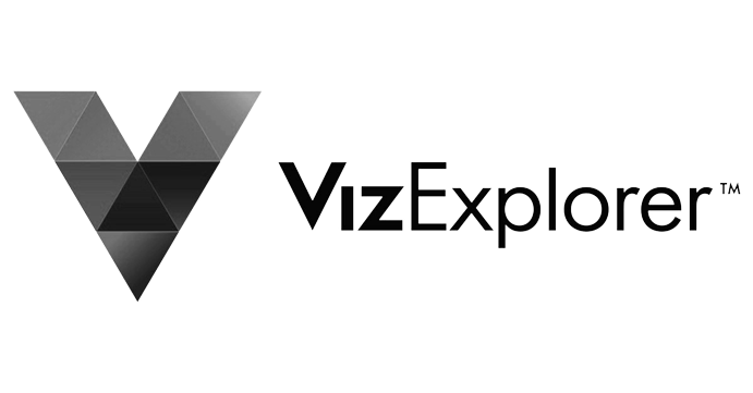 VizExplorer