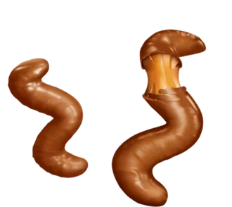 Squirlies 1