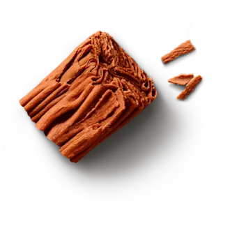 CADBURY FLAKE cameo