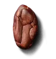 Cocoa Bean 3