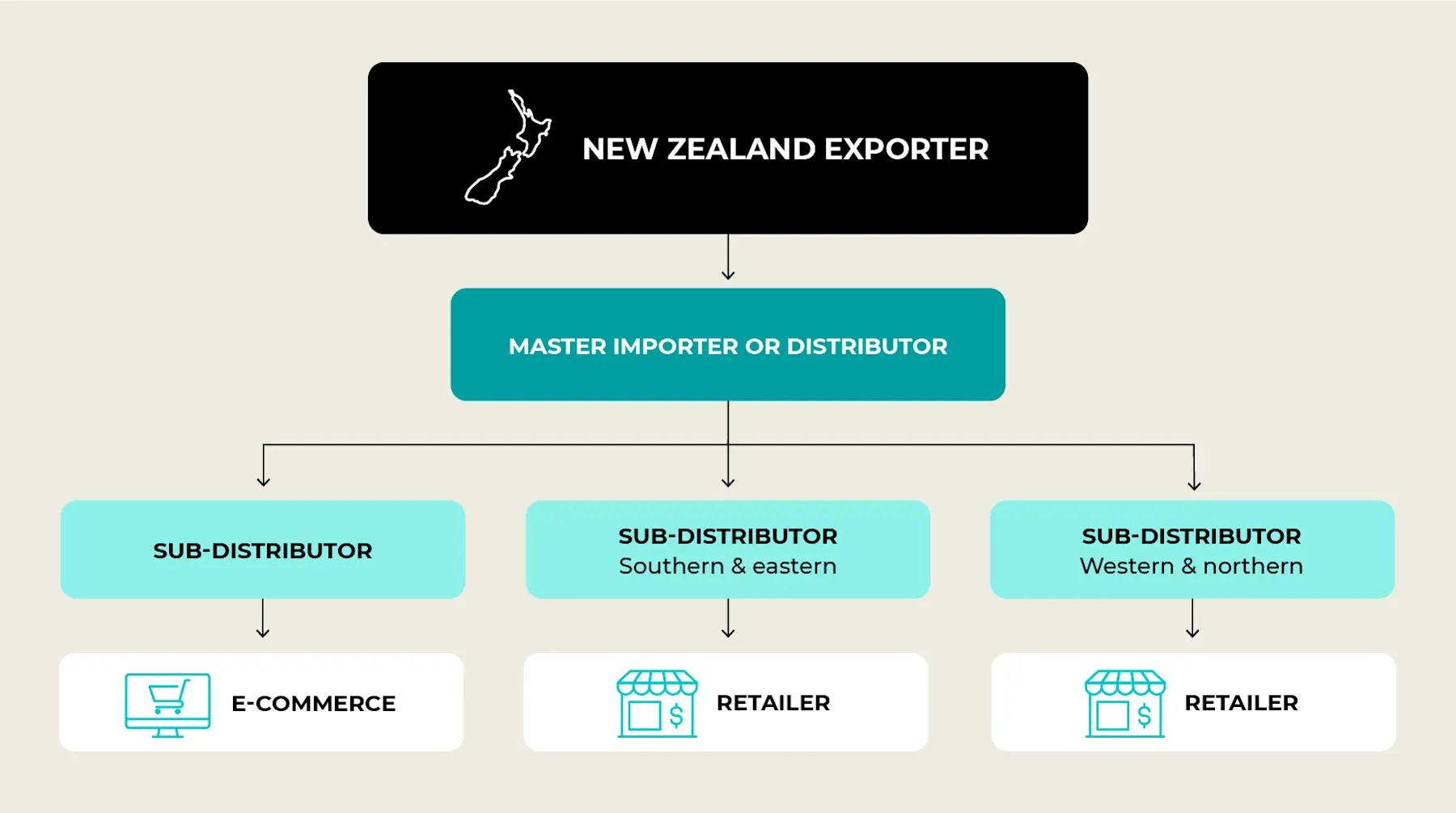 Setting up distribution and partnerships in India - myNZTE