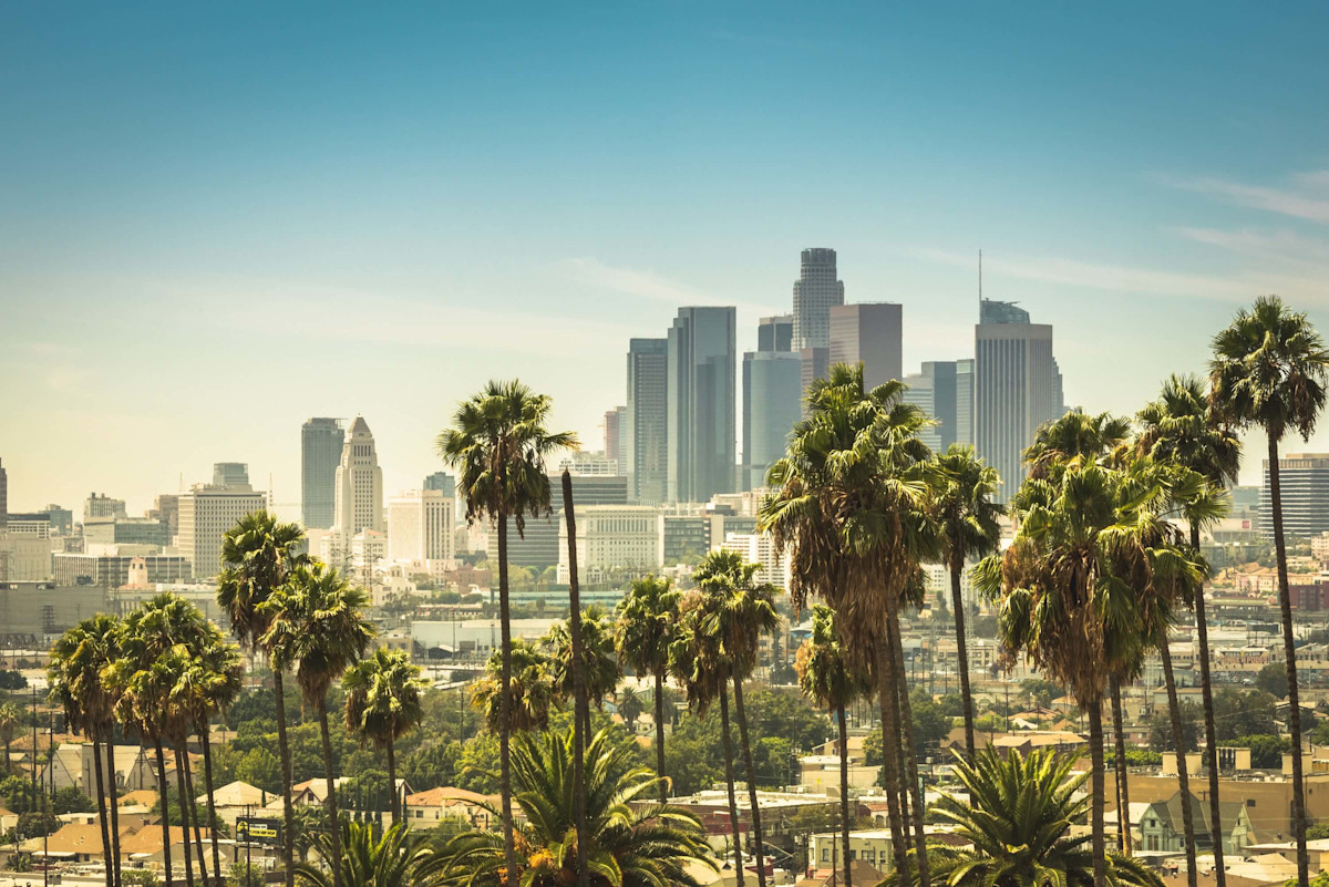 United States Market Guide myNZTE