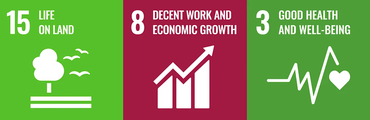 Using Sustainable Development Goals In Your Sustainability Strategy