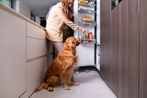 BARF kŕmna dávka pre šteňa: Ako ju správne vypočítať?