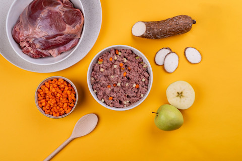 BARF strava pre psy: 10 vyvážených receptov pre zdravé kŕmenie