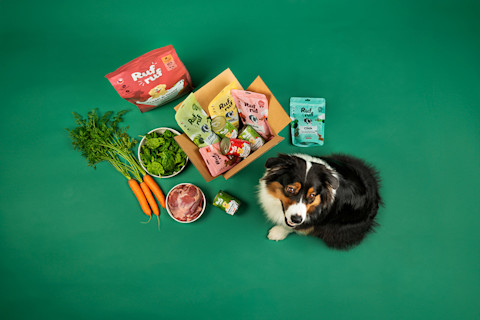 Ako miešať granule s konzervou pre zdravie psa