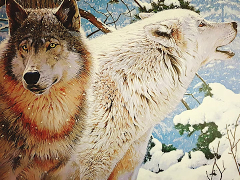 Ako vznikol pes? Z vlka ľudským spoločníkom