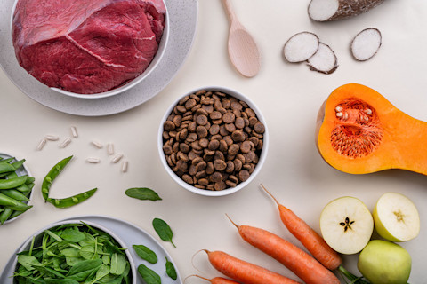 Ako vybrať tie najlepšie granule pre psov?