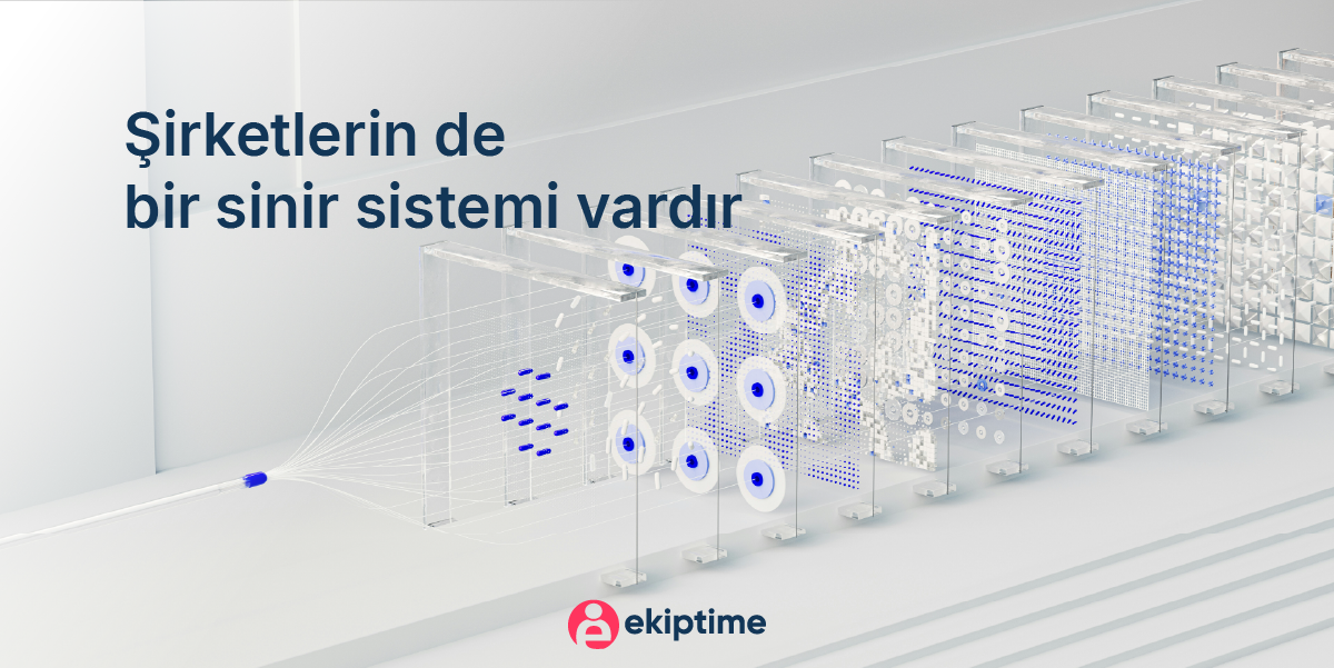 Cover Image for Şirketlerin de Bir Sinir Sistemi Vardır