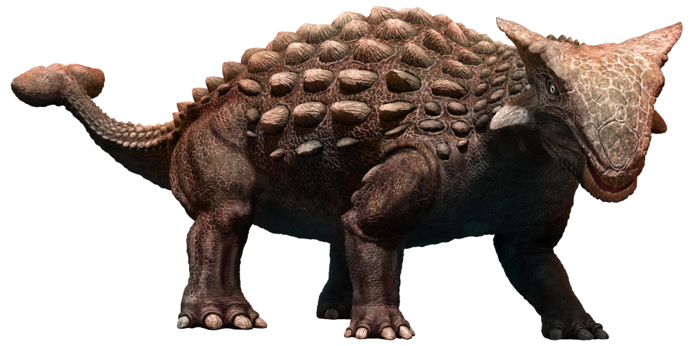 Ankylosaurus