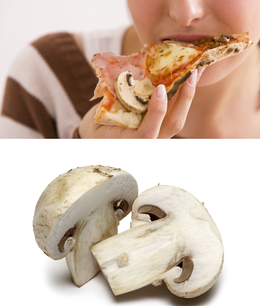 Champignon pizza