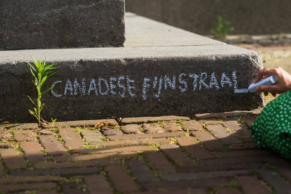 Stoepplantje Canadese fijnstraal met krijt