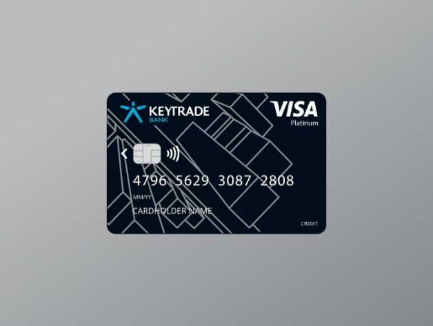Visa Platinum on Silvery Background (top block)