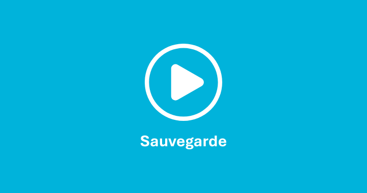 Protégez-vous contre le piratage : sauvegarde