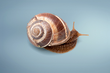 hypotheraire lening single