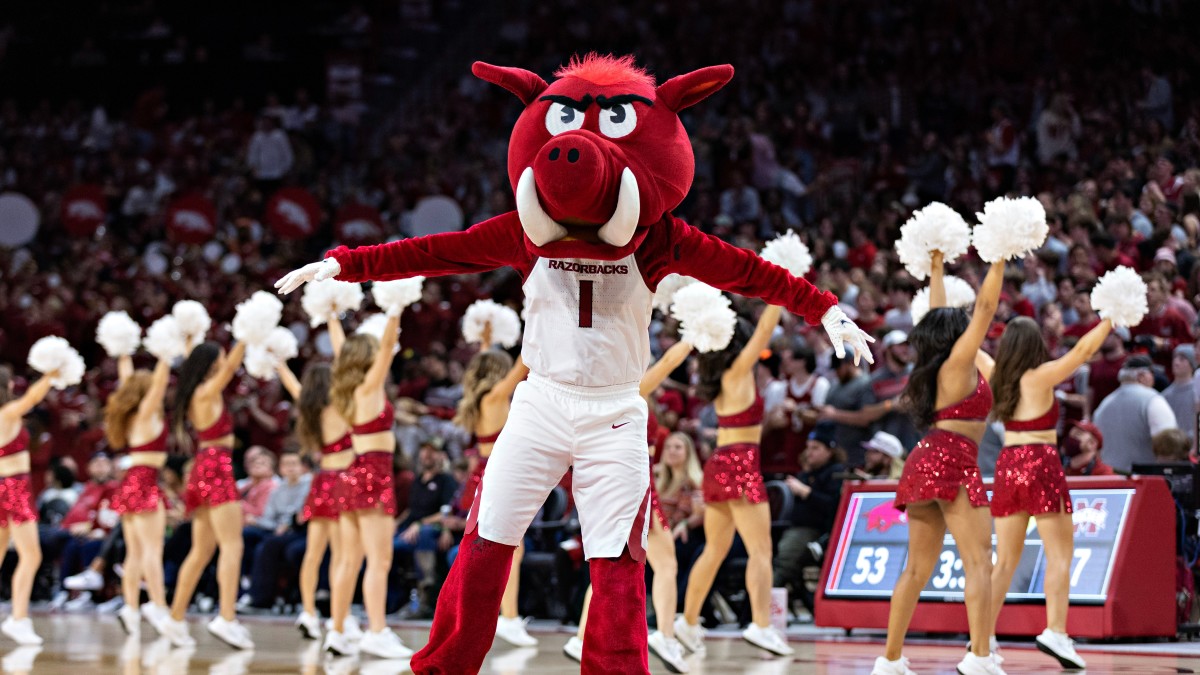 Arkansas Razorbacks CBB mascot