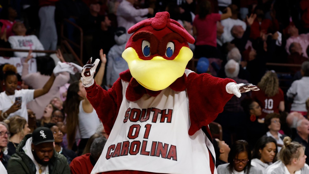 South Carolina bball mascot