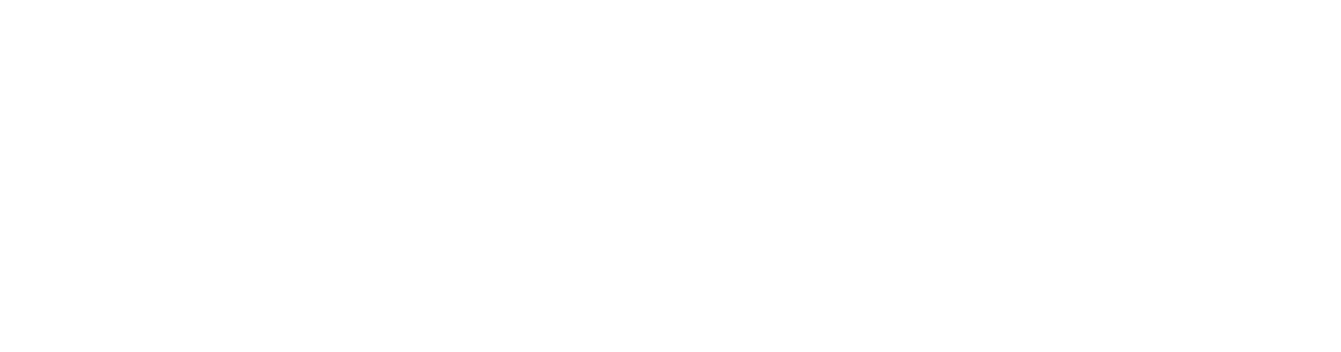 Fanatics