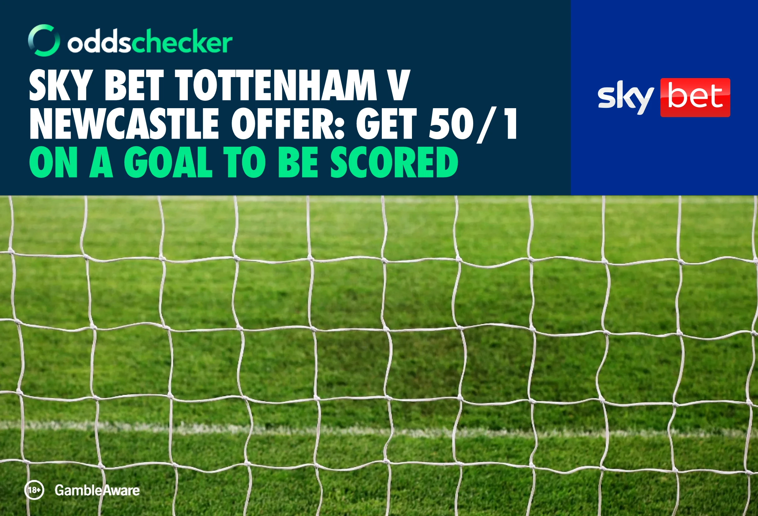 Tottenham v Newcastle Offer: Get 50/1 on a Goal to be Scored with Sky Bet
