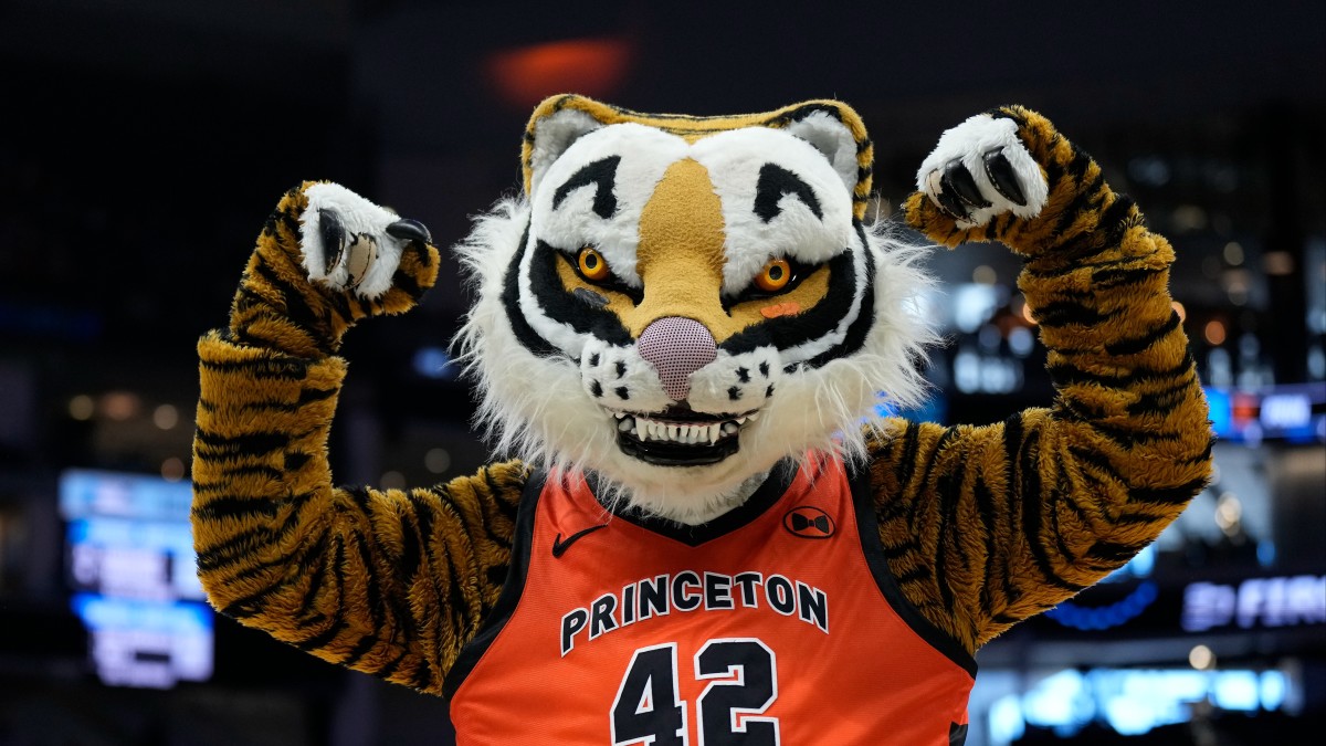 Princeton Tigers Athletic Mesh Pet Jersey