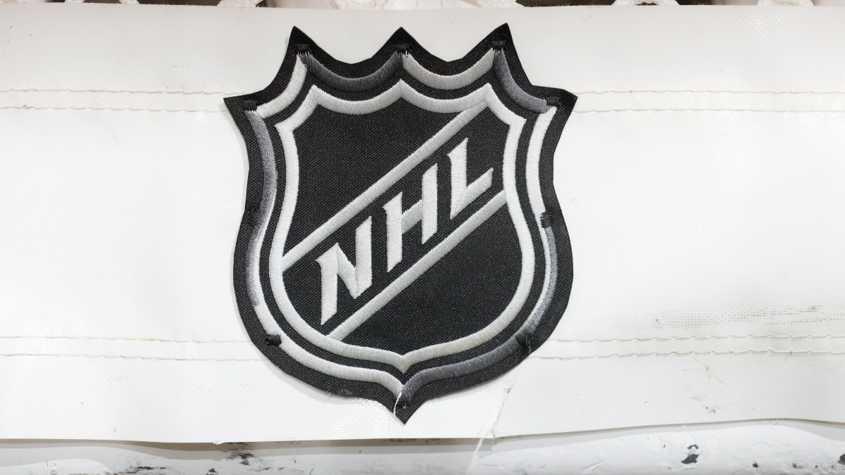 NHL Logo Generic