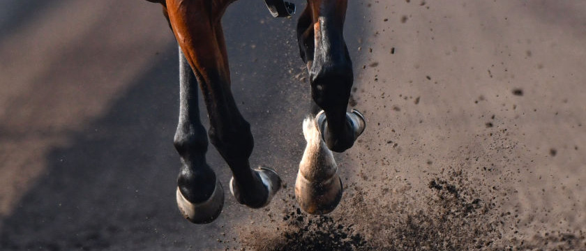 Horse Racing Dirt Generic