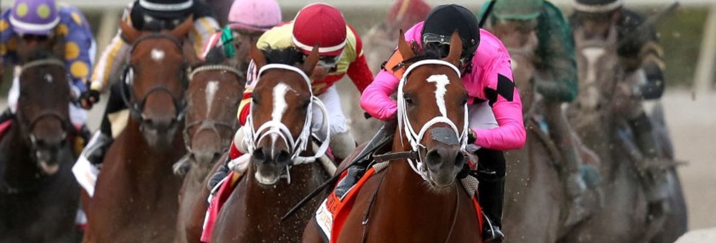 free horse racing picks today s horse racing predictions