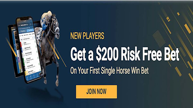 Horse Racing Betting News | Oddschecker