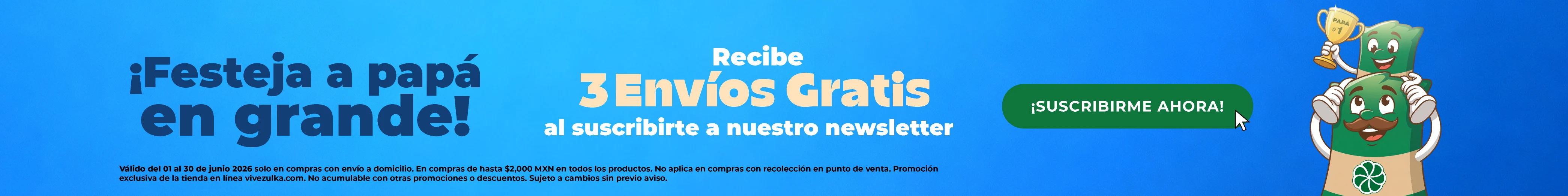 Banner cintillo newsletter junio