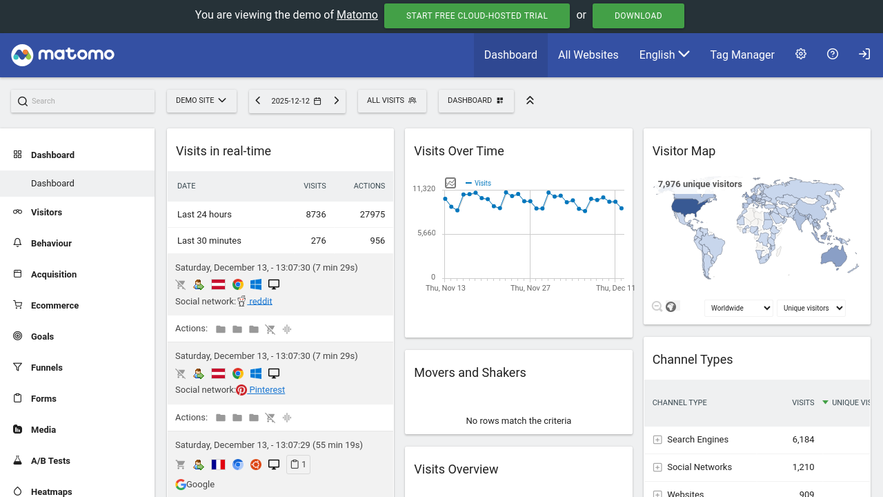 Weblish: Matomo Analytics Dashboard: Tracking Digital Marketing Performance