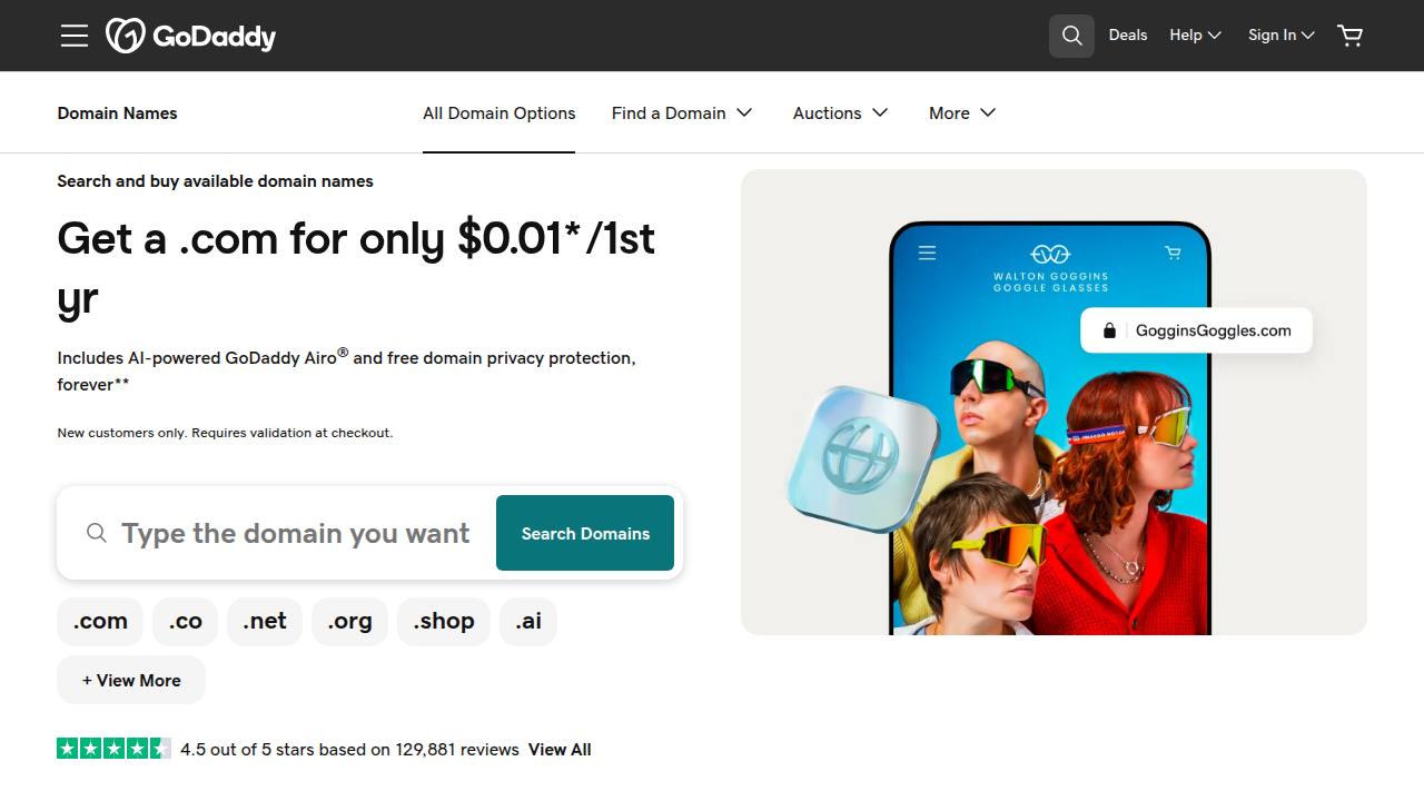 Weblish View: GoDaddy's Integrated Domain and Hosting Services Overview