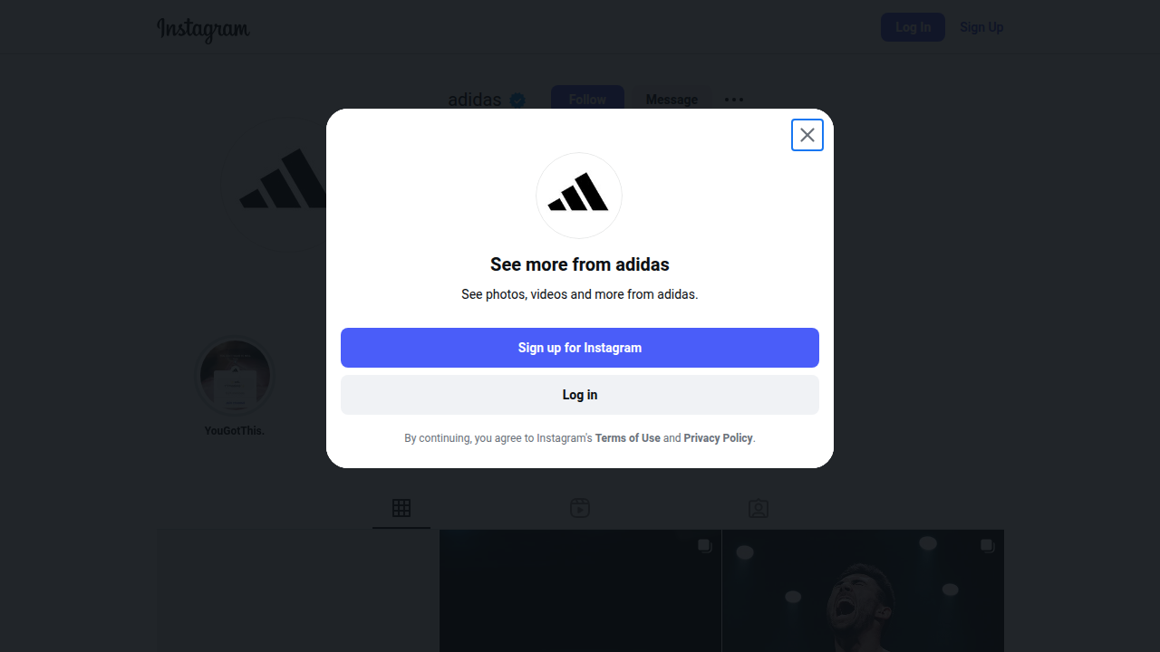 Weblish: Instagram Business Profile Screenshot with Shop Features for Ecommerce Success
