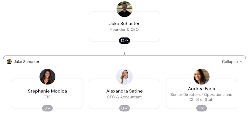Gemini Sports AI Org Chart