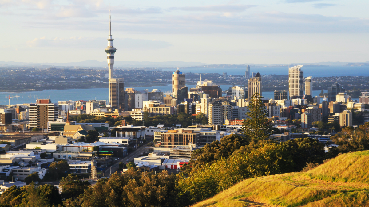 top-30-companies-in-new-zealand-by-revenue-the-org